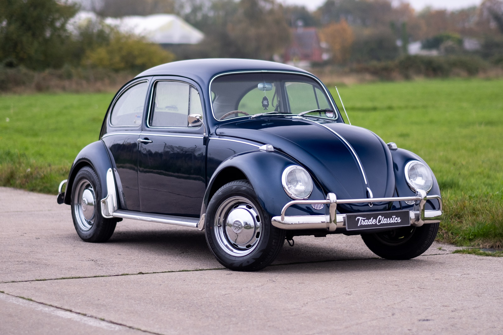 Beetle 1967